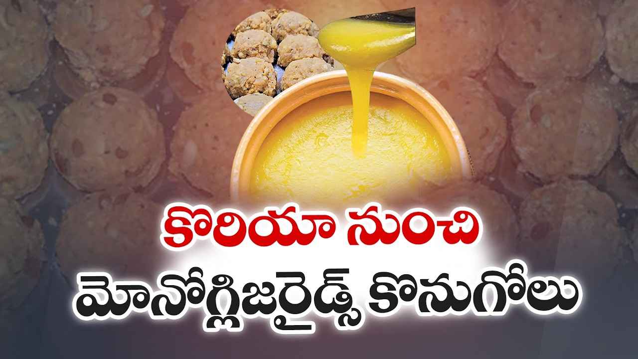 Shocking Revelations in Tirumala Adulterated Ghee Case | SIT Probe