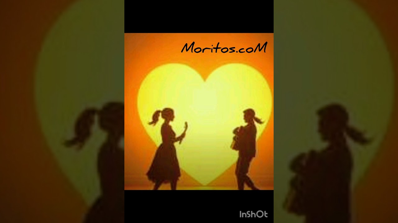 Mi amor por ti 