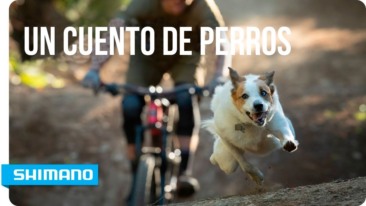 Un cuento de perros | SHIMANO