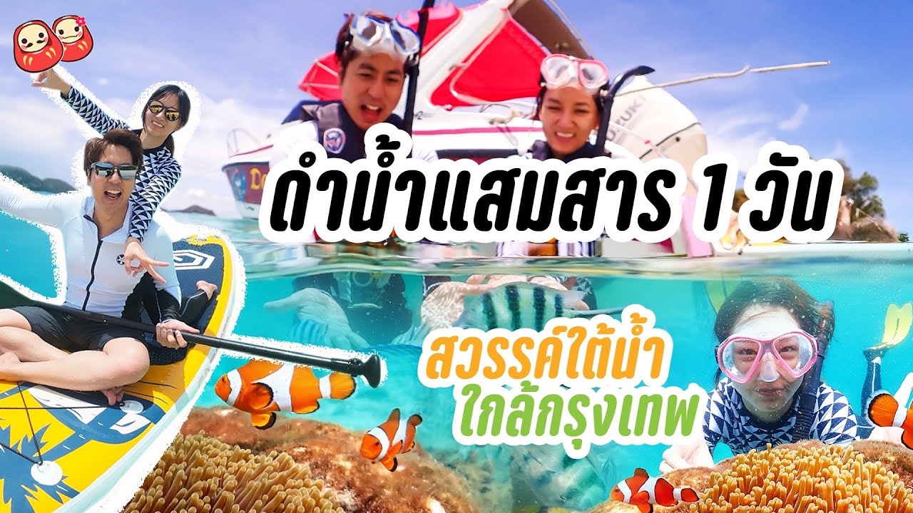 ดำน้ำสัตหีบที่แสมสาร น้ำใสเหมือนมัลดีฟส์! | 1 วันไปเช้าเย็นกลับ