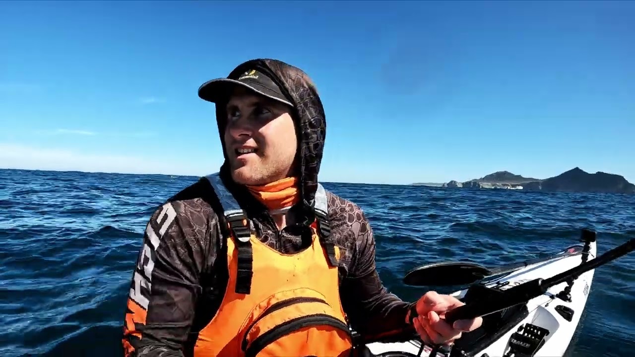 Yellowtail October mission