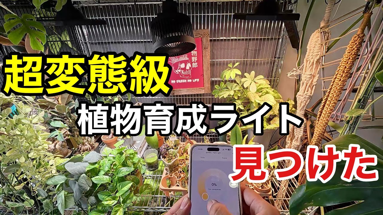 【ライト全替え】これがあればなんでも育てれてしまう。。。　　【園芸超人カーメン君】
