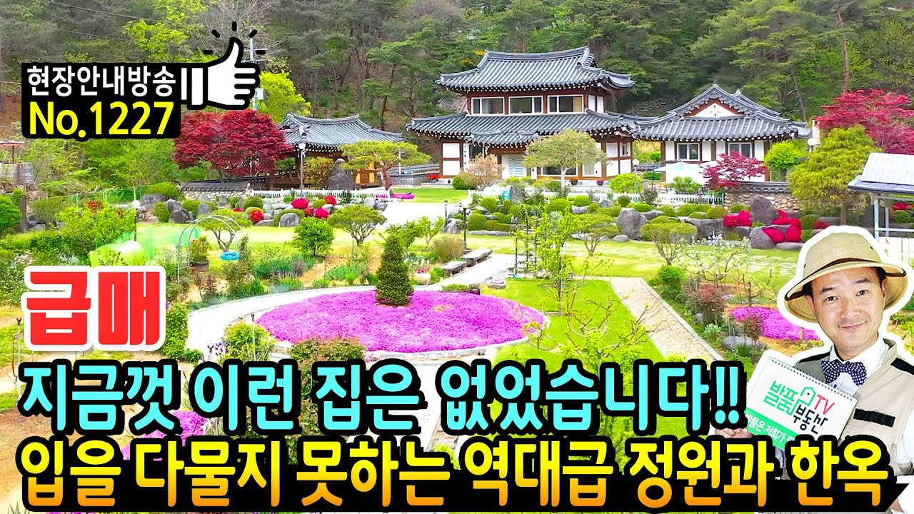 (급매) 지금껏 이런 집은 없었습니다 입이 다물어 지지 않는 역대급 정원 고급 한옥 전원주택 매매 놀라운 관리상태까지 상상 그이상을 보여주는 합천부동산 - 발품부동산TV