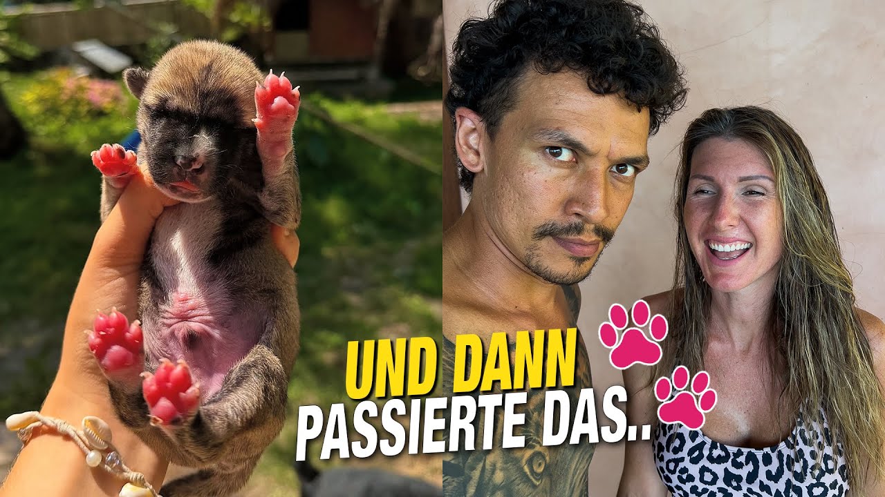 ER WAR GANZ ALLEIN - Wir konnten Ihn nicht zurücklassen! | VLOG #470