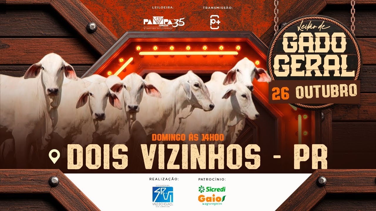 Leil&atilde;o de Extraordin&aacute;rio, DOIS VIZINHOS/PR - 26/10/2025 14:00h