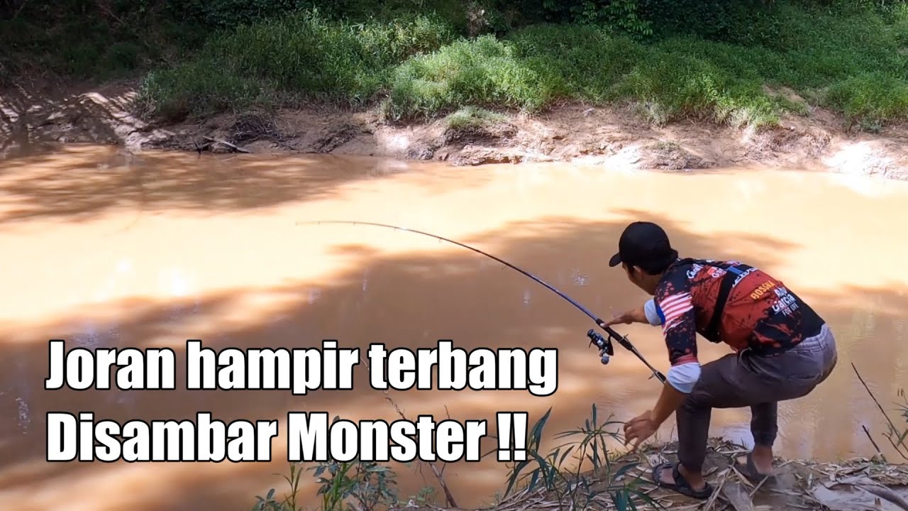 Pertama Kali Mencoba UMPAN KUCUR MANIA Bikin Ngerriii Strike BAUNG Monster || RIVER CATFISH HUNTER
