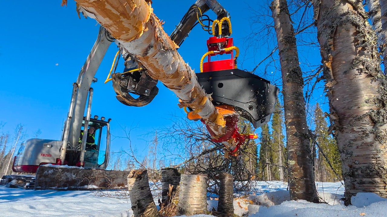 Building a Custom Boom for My Excavator to Run a Harvester Head Cutting Birch