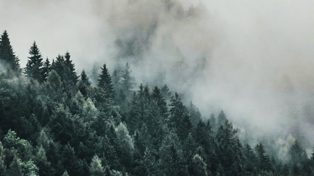 Quiet Piano | Background Music for Focus & Calm