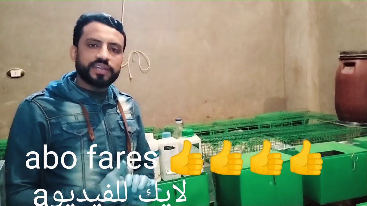جدول المية الشهرى للارانب فى الشتاء وأقوى مضاد حيوى طبيعى فعال في الشتاء لزيادة الإنتاج
