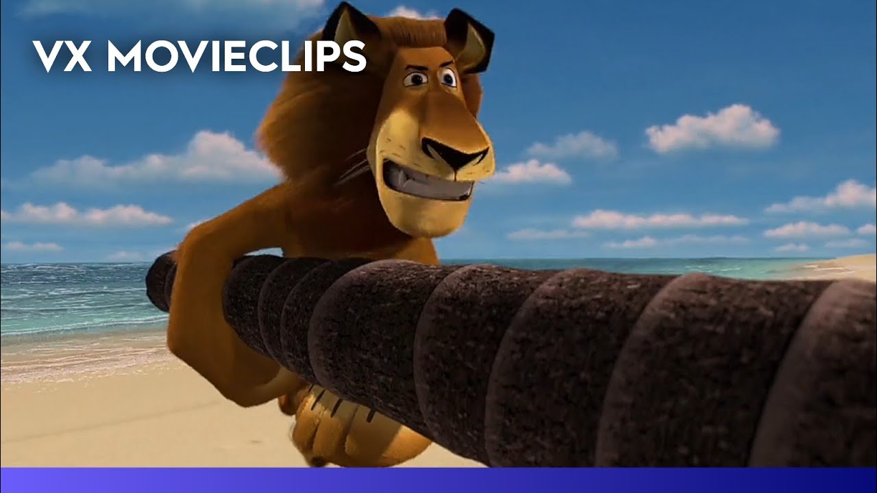 Madagascar (2005) - Getting Melman Out Of The Box | VX Movieclips