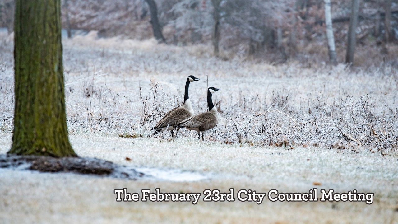 February 23rd, 2026 City Council Meeting (Part 2)