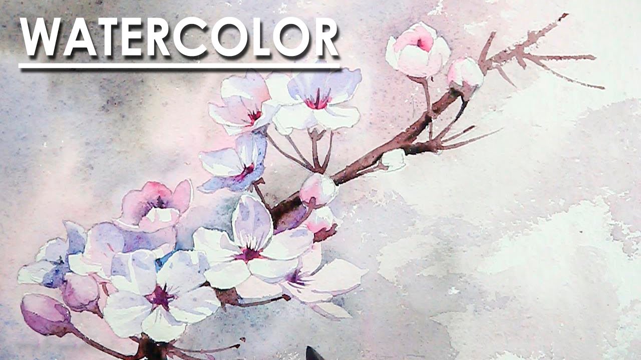 Watercolor Painting : Cherry Blossom flower