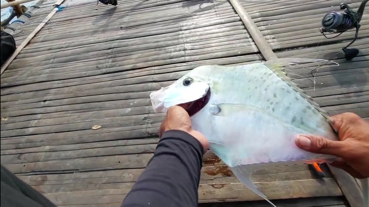 Mancing bagan Tanjung Kait || Bagan G228 punya bang popaye