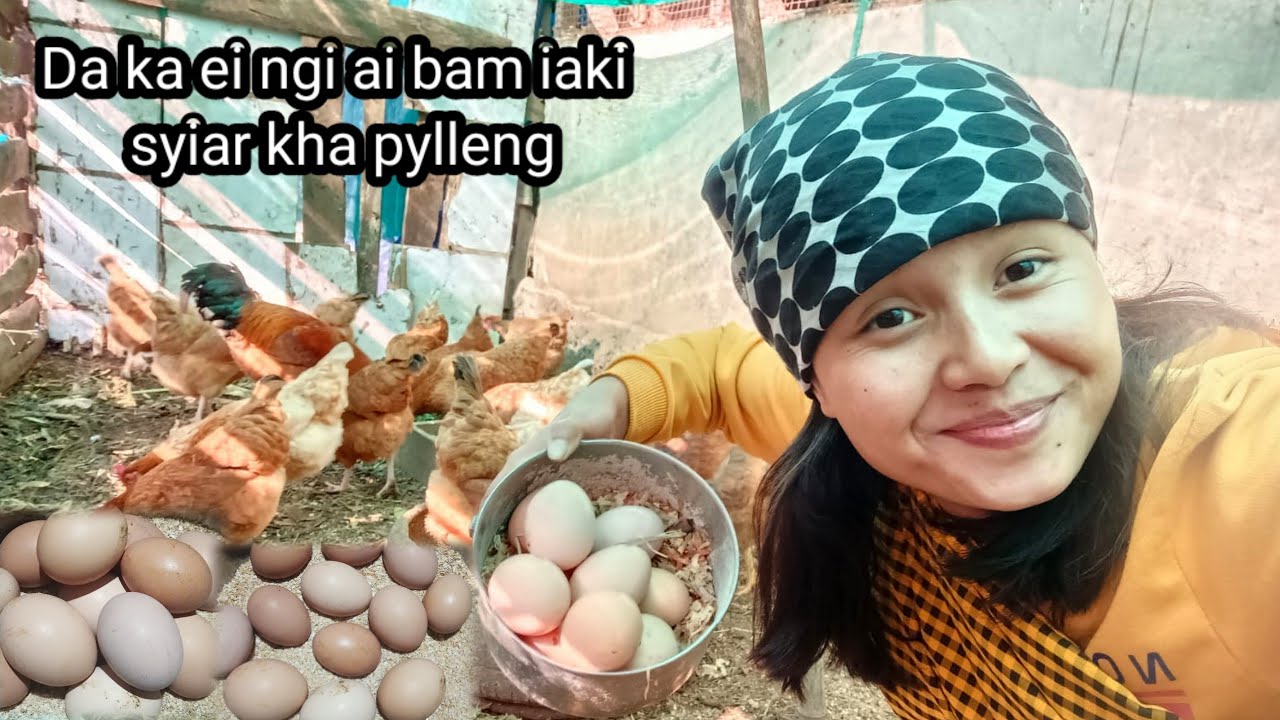 Da ki phew kha pylleng ki syiar man ka sngi