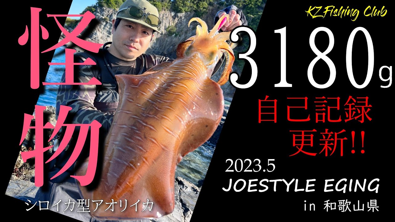 【エギング】【春イカ】モンスターアオリイカ3kgオーバーの怪物捕獲in和歌山県南紀串本