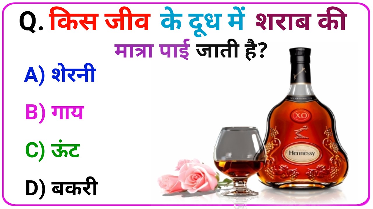 Gk Question | Gk In Hindi | Gk Question And Answer | Gk Quiz | Gk Mau Wala