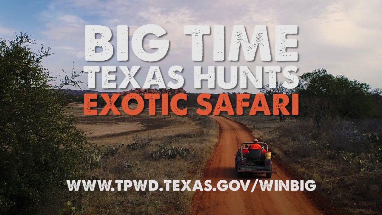 Big Time Texas Hunts: Exotic Safari