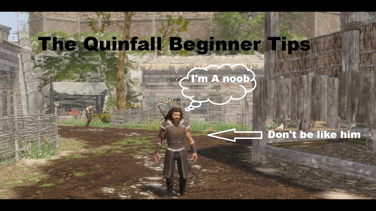 The Quinfall Beginner Tips EVERYONE Needs To Know