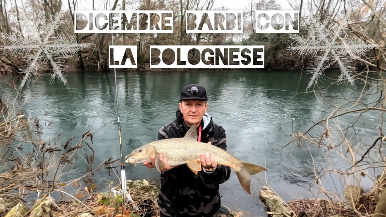 I barbi di dicembre