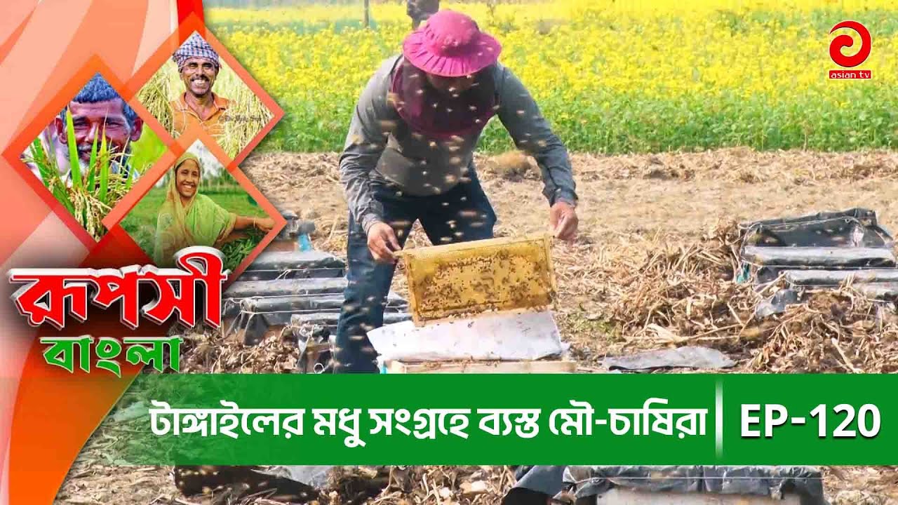 Ruposhi Bangla | রূপসী বাংলা | টাঙ্গাইলের মধু সংগ্রহে ব্যস্ত মৌ-চাষিরা | Episode 120 | Asian TV