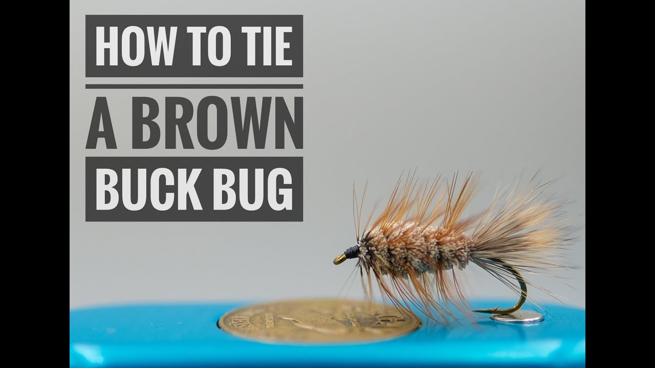 Как завязать Brown Buck Bug