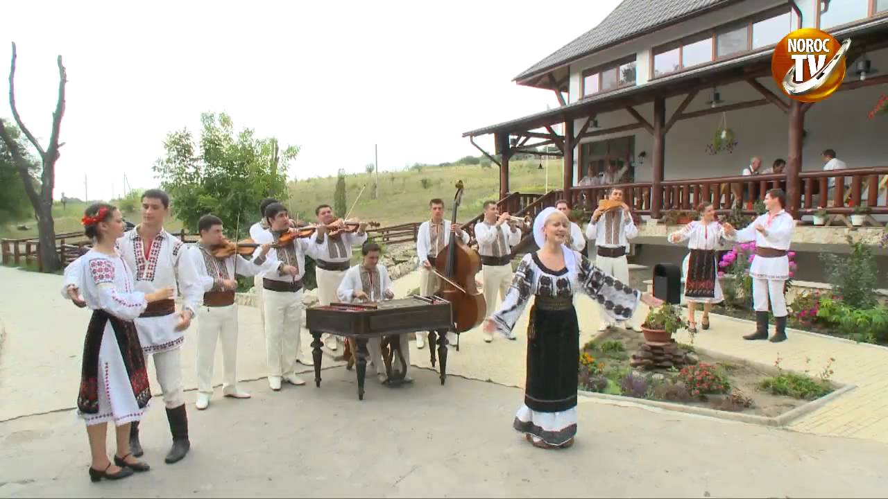 Adriana Ochisanu   Pe toloaca satului