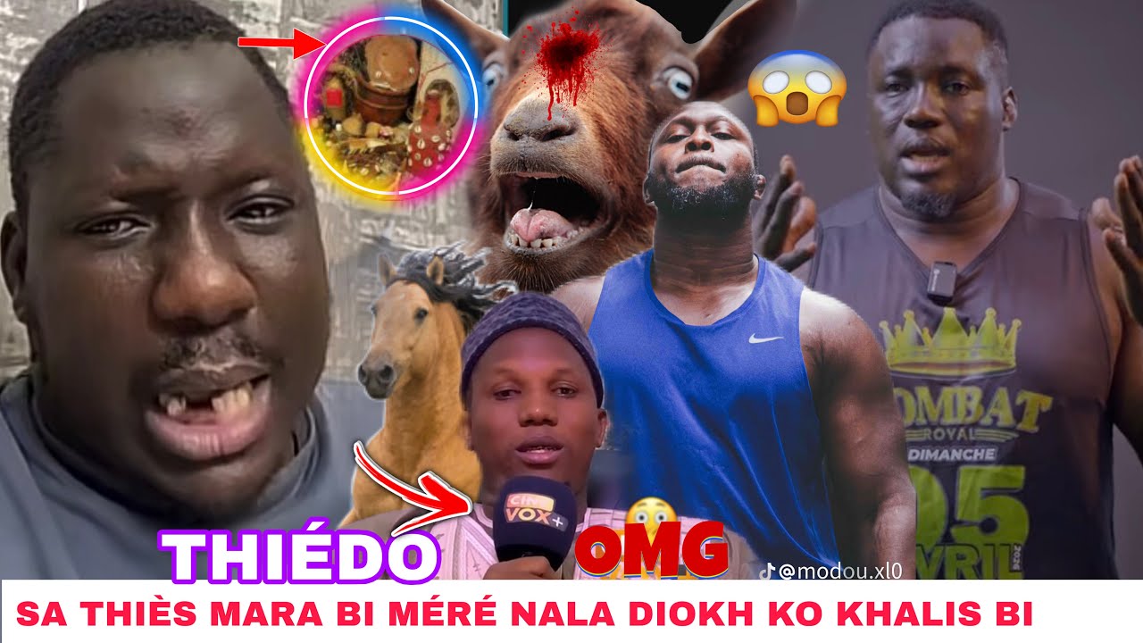 Sa Thiès na fay khalissou mara bi😱Thiédo wax na deh Modou lô sama Kharite la‼️Serigne Khadim dieme 
