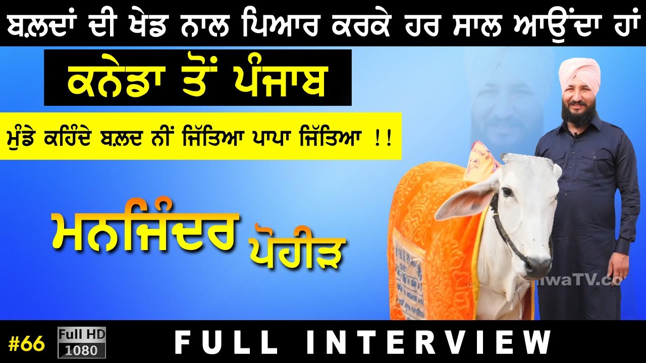 #66 [Full Interview] | MANJINDER POHIR | VICKY GREWAL GUJJARWAL | Ox Races | Bail Dorak Player  2021