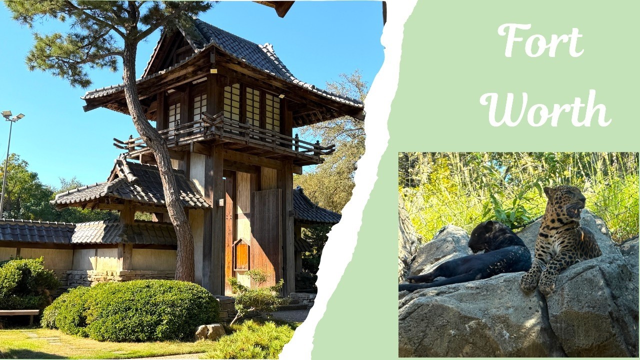 Amazing Wonders of Fort Worth Texas - Botanical Gardens and the Zoo
