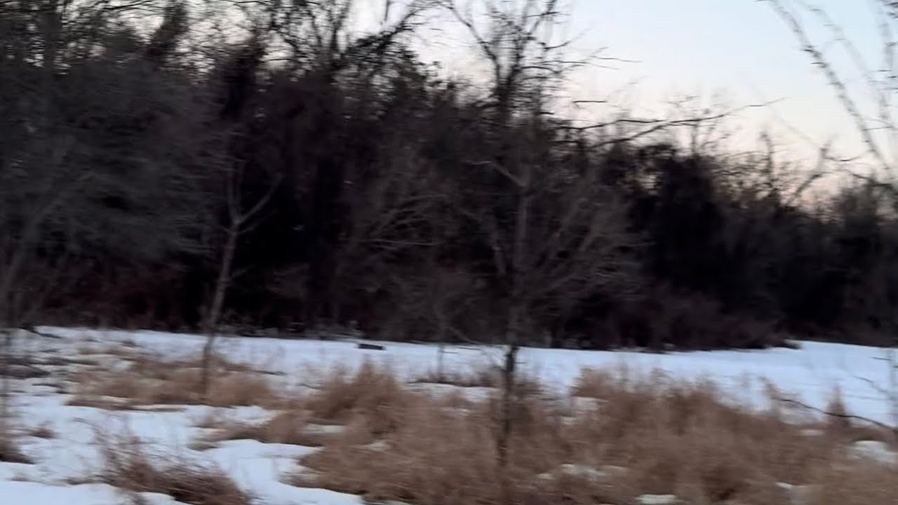 POV Walk From My Pocket | Ambient Sounds, Footsteps, Birds | UNCUT VERSION