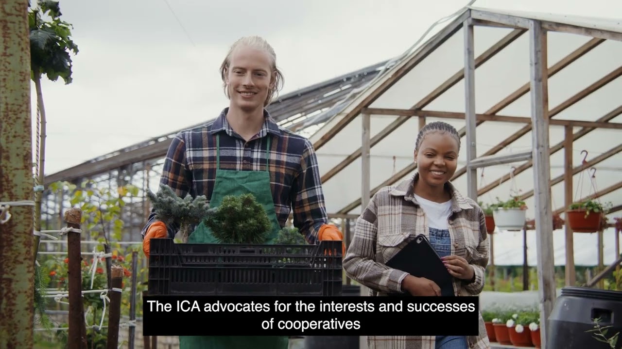 We are cooperatives