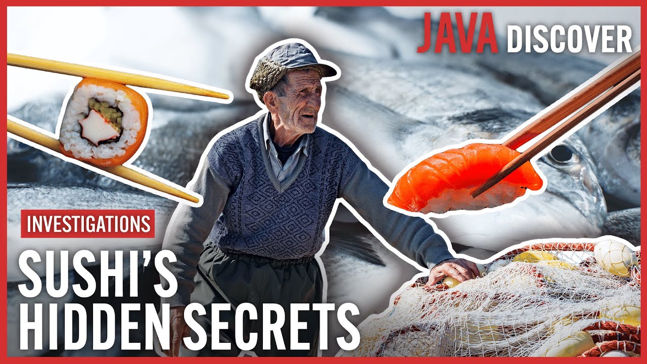 The TRUE Cost of Your Sushi: Emptying the Seas | Food Investigation Documentary