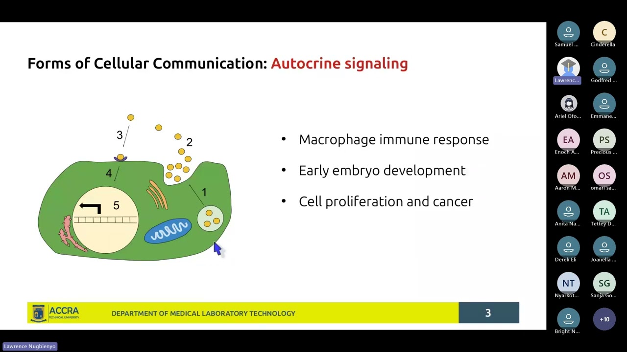 MLB 203 Biochemistry II Regular: Hormones I