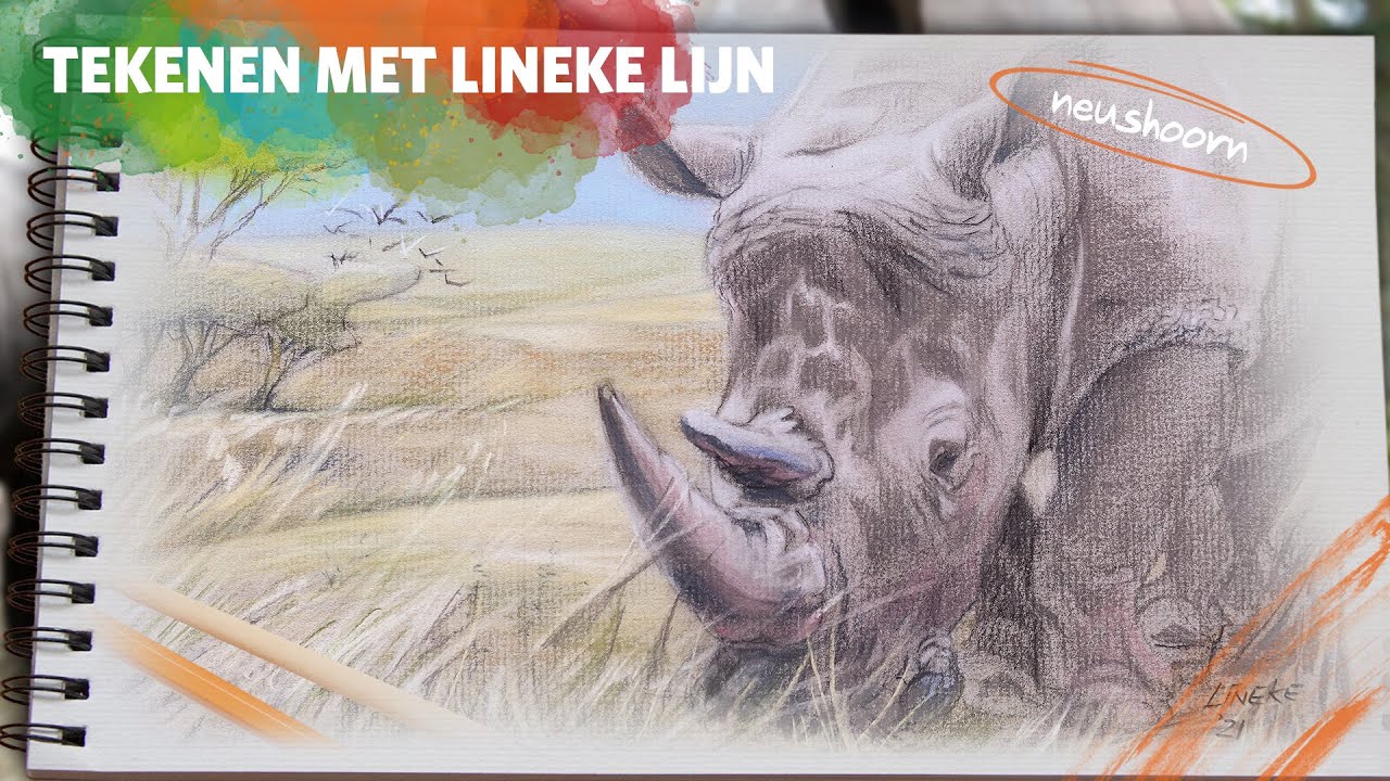 Teken de NEUSHOORN 🦏 | met Lineke Lijn