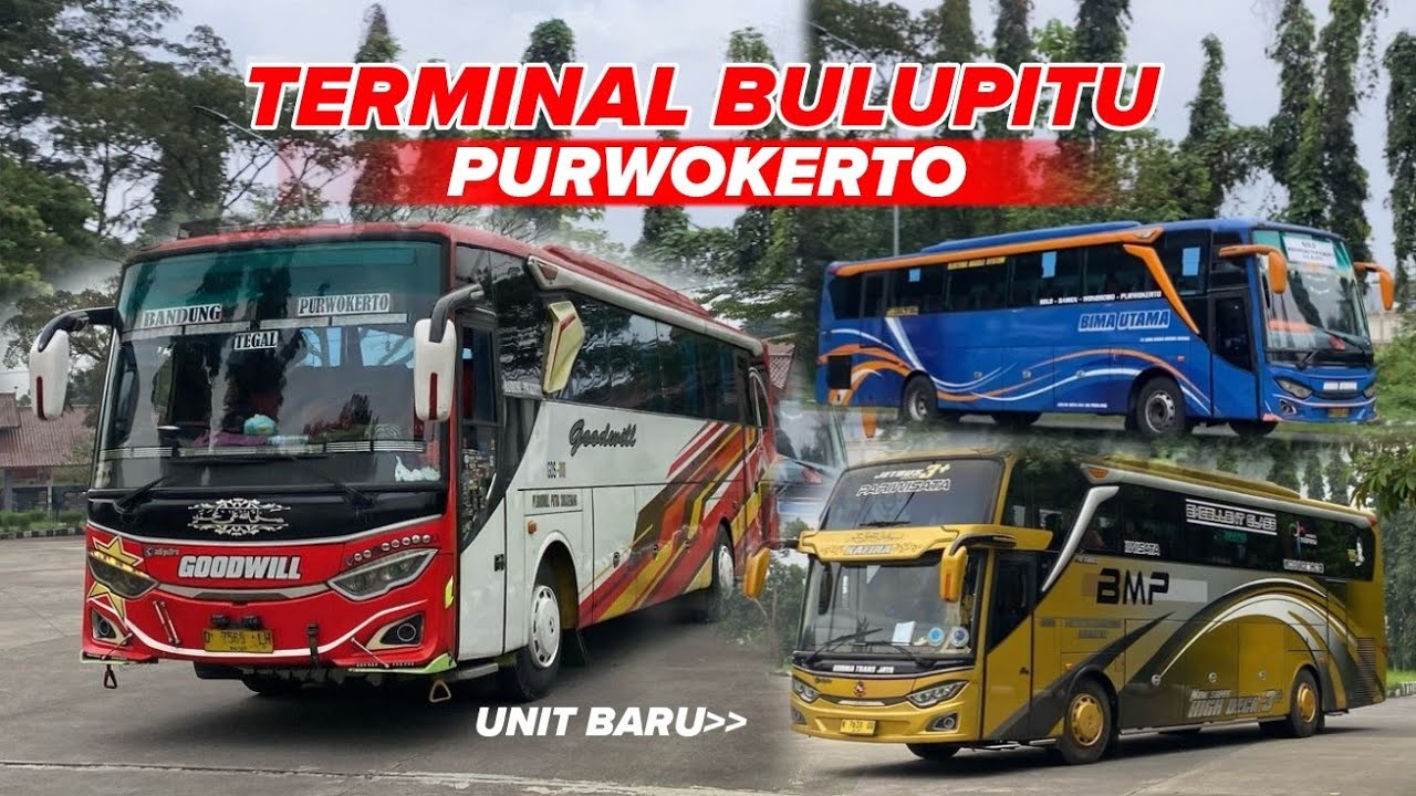 Terminal besar tapi sepi??? Hunting Angkatan Sore Terminal Bulupitu Purwokerto