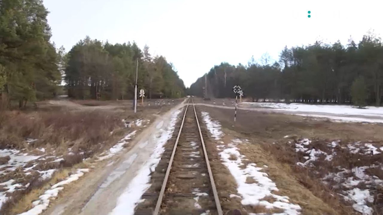 Чим живе 