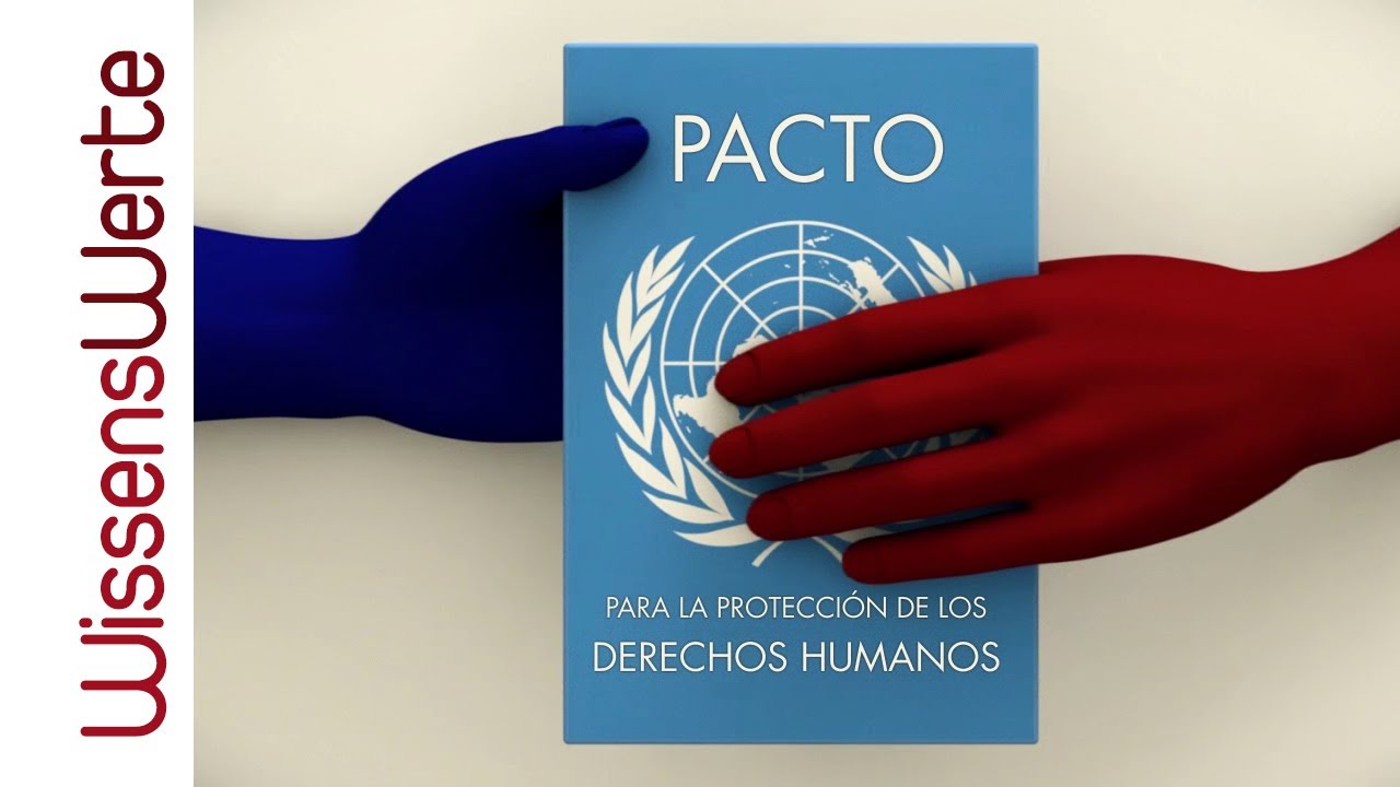 Enfoque Derechos Humanos: Derechos de la Mujer, ONG, Segunda Dimensión