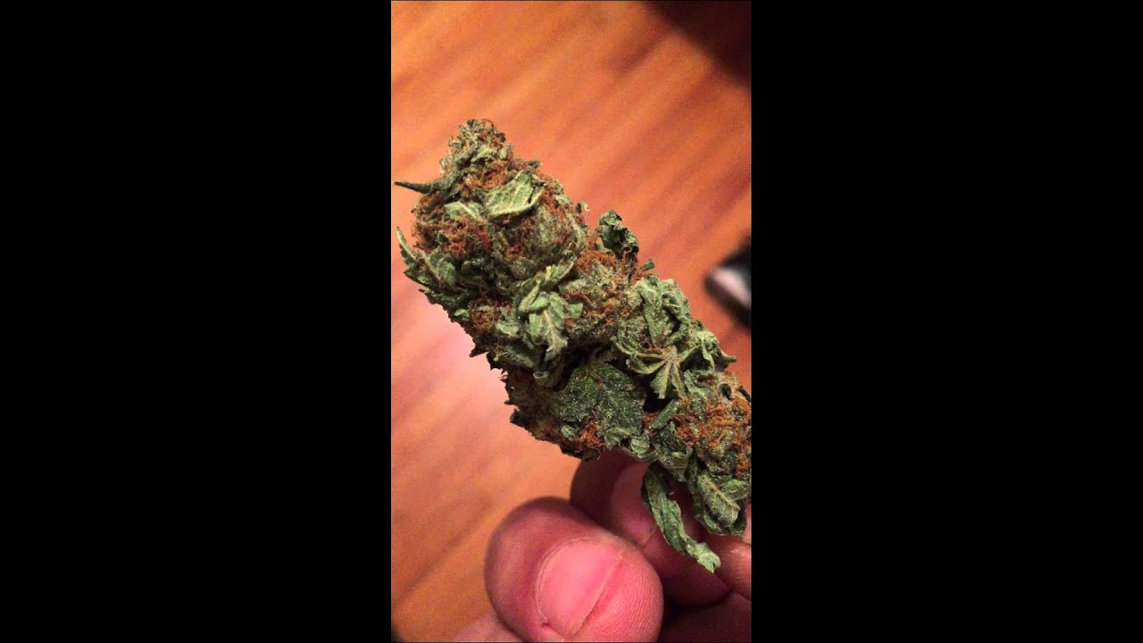 Mango Kush