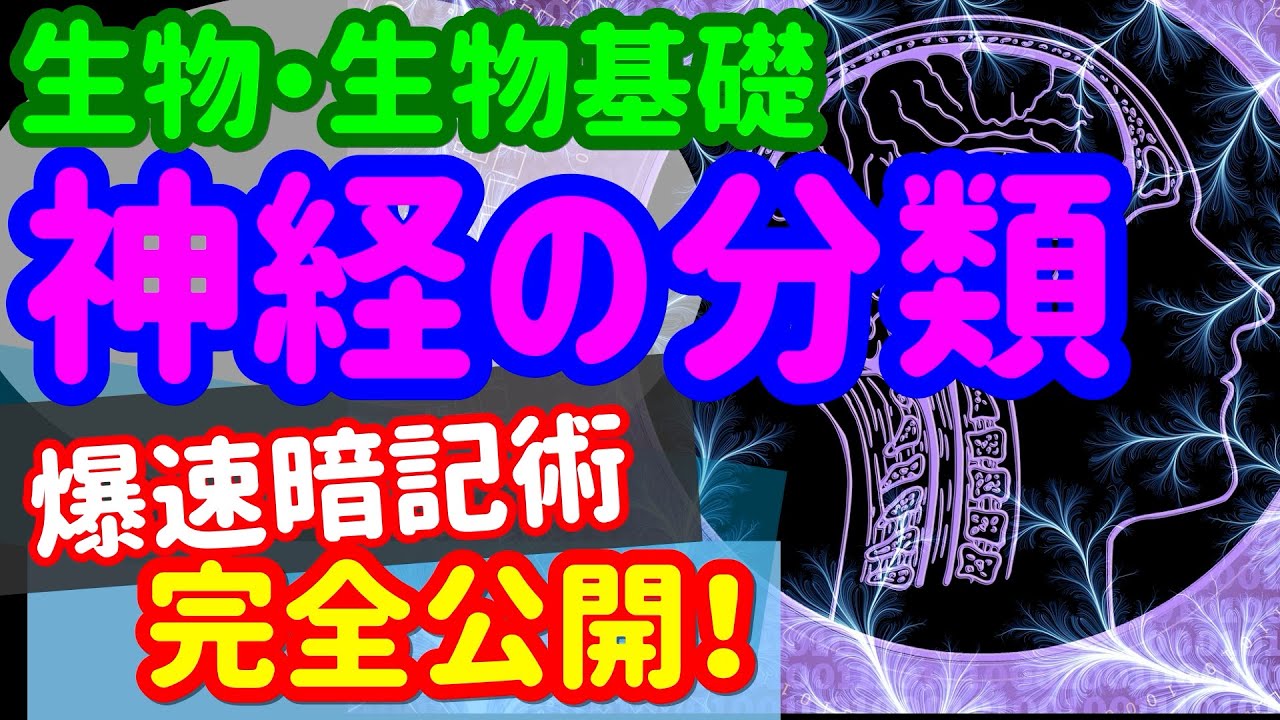 【生物基礎 22】代謝、恒常性【神経の分類】を宇宙一わかりやすく
