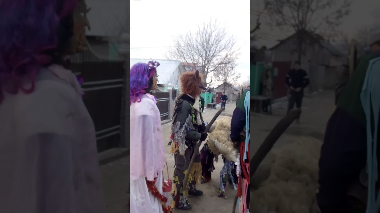 Mascati din sohodor 2017 part 4