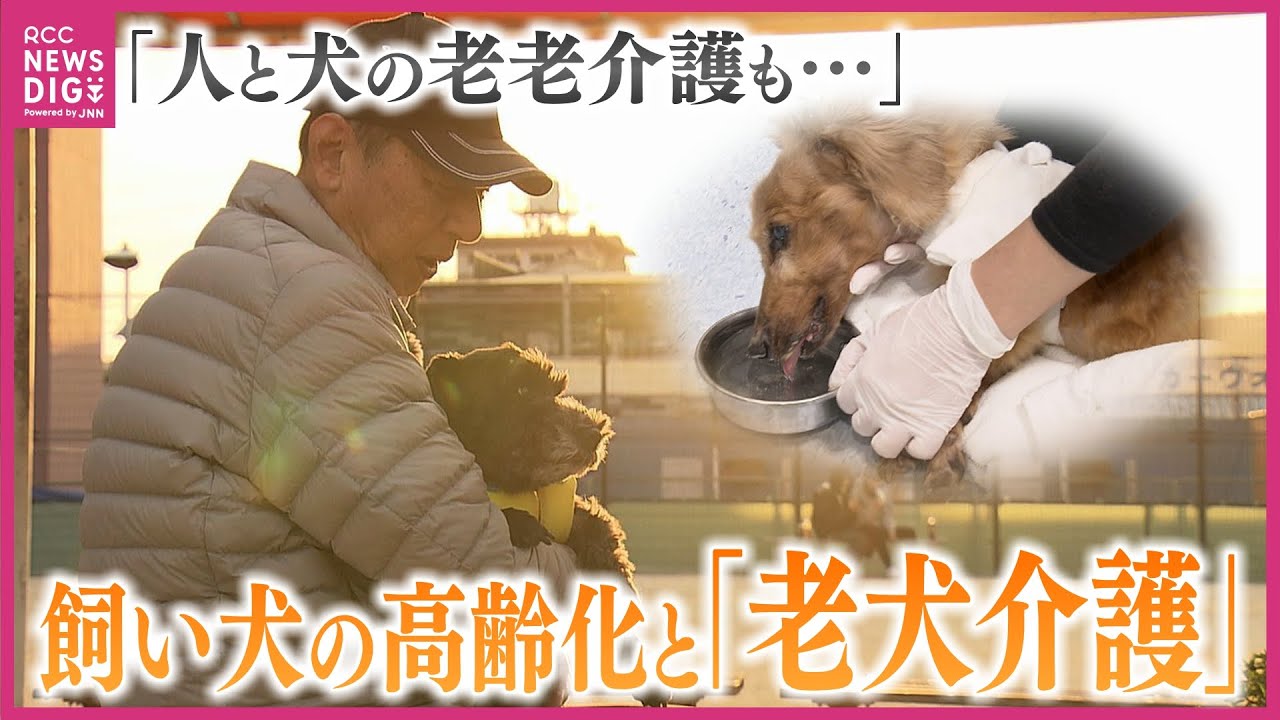 人もイヌも進む“高齢化”　飼い主が先に亡くなるケースも　人とペットの“老老介護”　　年老いた犬の介護の現実　「15年先まで責任持って飼えるのか」飼い主にも問われる課題