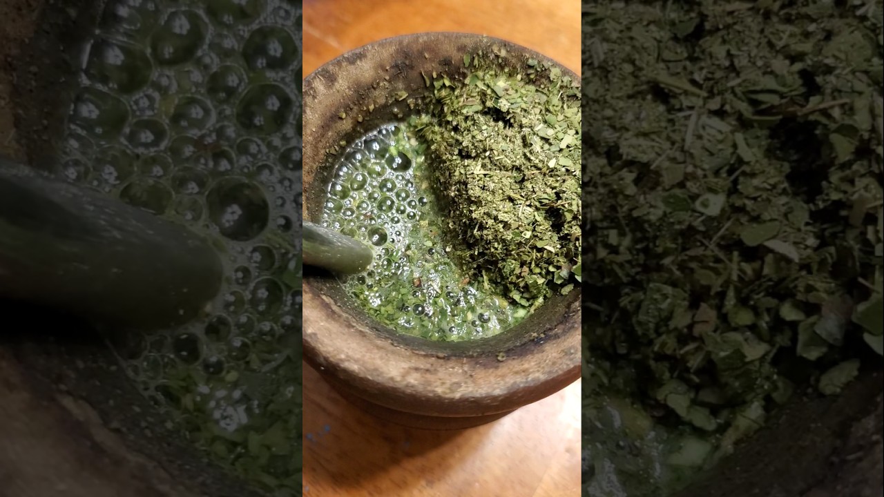 LOOK AT THAT COLOR!👀 - Del Cebador Cl&aacute;sica #yerbamate #mate #brazil #satisfying #green #shorts