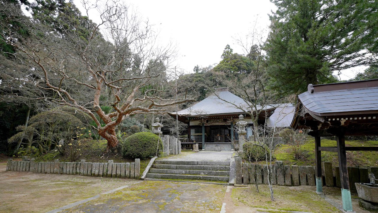 Тихая прогулка по Японскому храму Дзёрюдзи (Joryuji Temple) ⛩️