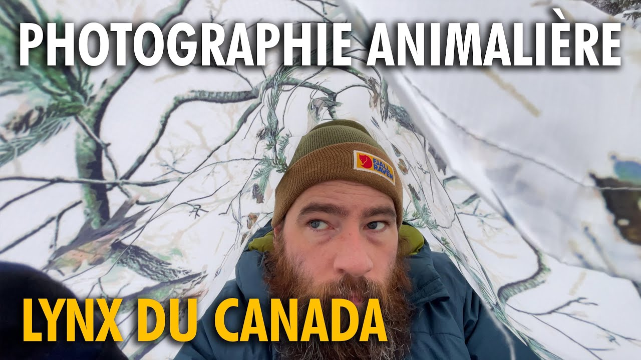Aventure dans la taïga en hiver - Photographie animalière au Nord du Québec - Partie 2