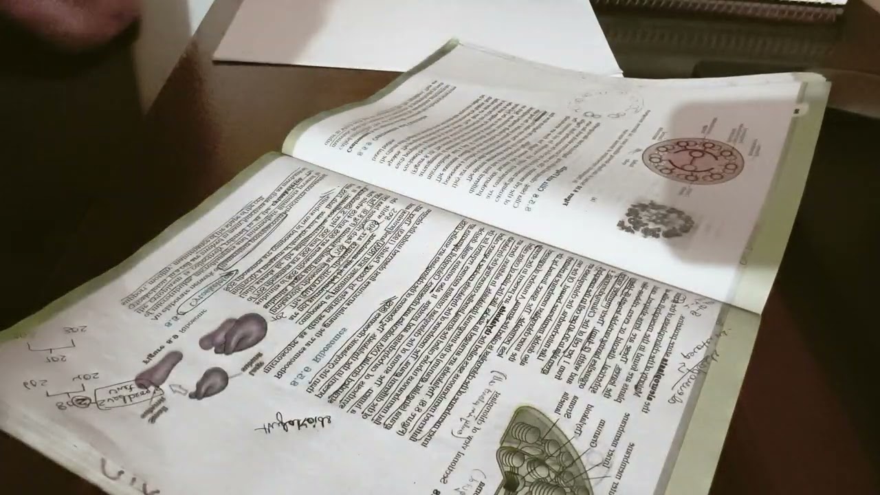 Study with me (background noise)