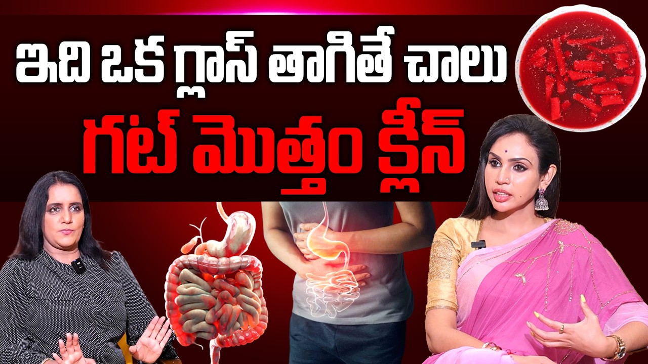 Food to Improve Gut Health in Telugu | Dietitian Vineela About Gut Health Diet | SumanTV Health