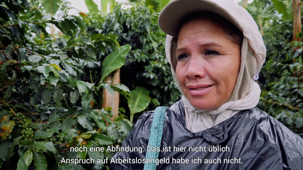 Ganz schön bitter! So arbeiten die Kaffeebauern in Kolumbien | fluter Reportage