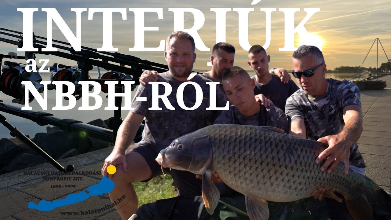 Interjúk az NBBH-ról