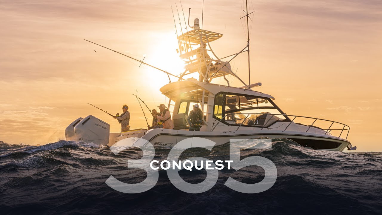 365 Conquest Launch Video | Conquest Model Family | Boston Whaler