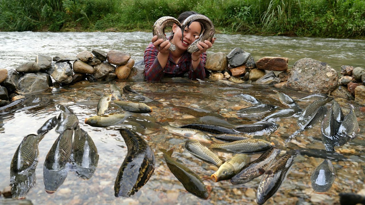 Unexpectedly Encountering a of Fish Upstream After a Storm, Harvest and Bring to Market to Sell.